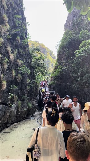 #phiphiisland #mayabay #neveragain #onthewaytoslaughter#thailand