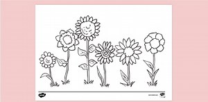 Pretty Flowers Colouring Pages
