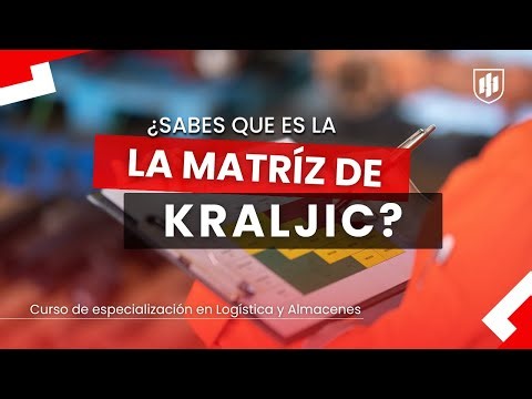 WHAT IS THE KRALJIC MATRIX? | WELL EXPLAINED | Esagel