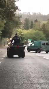 Think you're having a bad day? Video by Caitlin Lyons in Lismore, Co Waterford. | Irish Farmers Journal