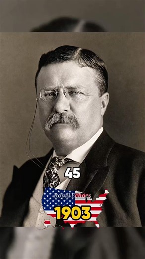 Theodore Roosevelt: America's Youngest President