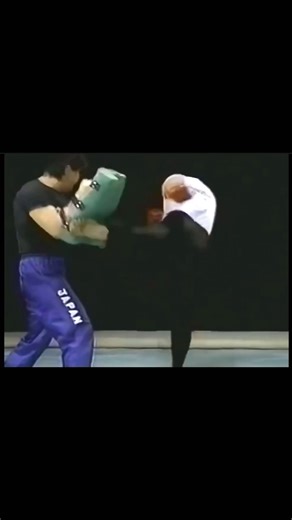 佐山聡 強烈なミットへの蹴り連打