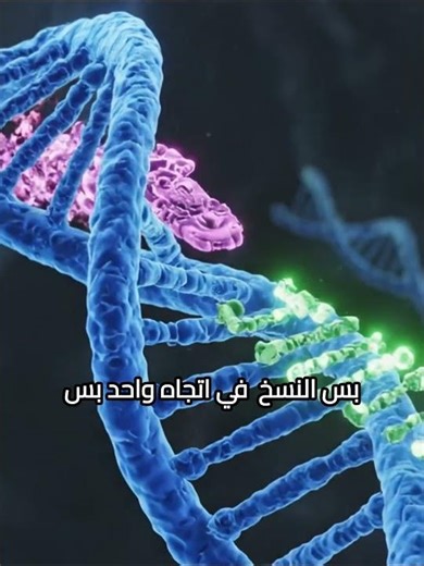 تضاعف DNA | كيف تنسخ شفرة الحياة؟#احياء_ثالثة_ثانوى#short #foryou#أحياء