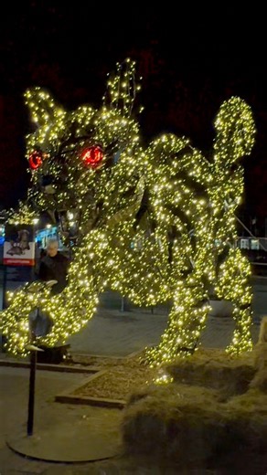 Cat Christmas lights In Reykjavík Iceland 🇮🇸 | Heidij German Þorasito