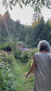 As the sun rises on a new day, open your heart to the rhythm of nature. Breathe with the trees, move with the breeze, and let the wisdom of the earth guide your path. This meditation, A New Day, is from A Year of Guided Meditations — a heartfelt book and DVD created by my beloved wife, Dudley Evenson. Her words, paired with our music and nature imagery, offer a gentle path back to peace. It’s a tender offering from our life’s journey together — and we’re honored to share it with you. | Dean Even