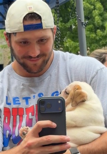 Dawgs and dogs. 🥹 #puppytiktok #joshallen #trainingcamp #rescuedog | josh allen