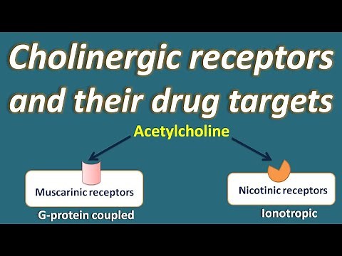 Cholinergic receptors and their drug targets
