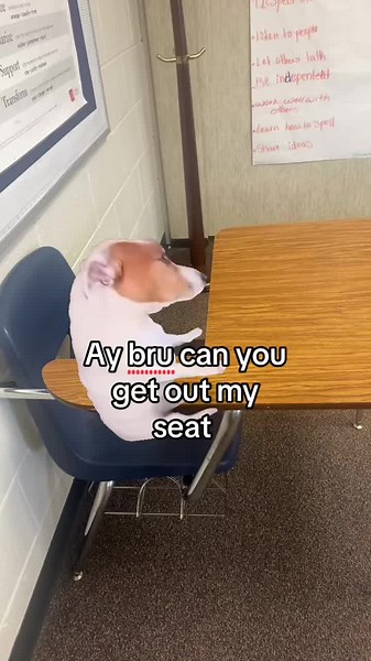 𝚊𝚗𝚊 ᥫ᭡ (@luckiiana)’s video of car seat