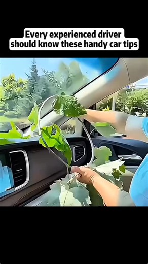 Deepak Beni | Every Experienced Driver Should Know These Handy Car Tips. | Instagram