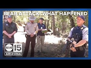 Officials discuss bear attack in Prescott