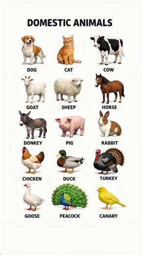 🐶 Domestic Animals in English | Learn 15 Common Animals for Beginners | Easy English Vocabulary