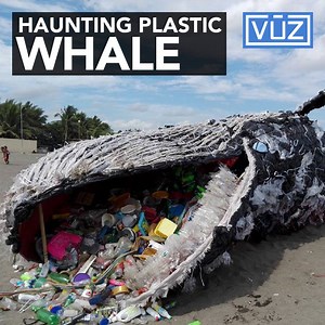 2.3M views · 14K shares | This “dead whale“ art installation is sending a message about plastic pollution. #LifeVuz | Very Local | Facebook