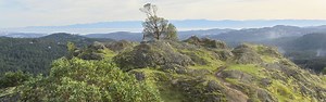 Lone Tree Hill Hike | Victoria Trails