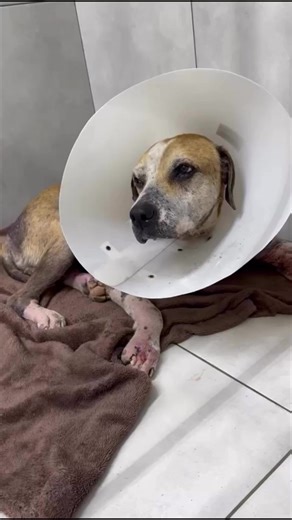 2K views · 67 reactions | MANOEL UPDATE  Manoel's biopsy results...