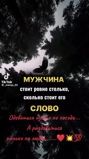 Дишка on TikTok