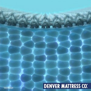 Say Goodbye to Bad Sleep. Shop the TEMPUR-Adapt Collection Available at Denver Mattress!