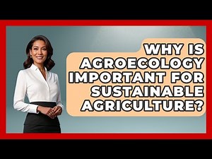 Why Is Agroecology Important For Sustainable Agriculture? - Explaining Ecology