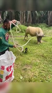 1.2K views | Great moments in real life | David Benoit | Facebook