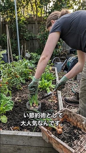 失敗しない！ペットボトルで長ネギを無限栽培する裏ワザ
