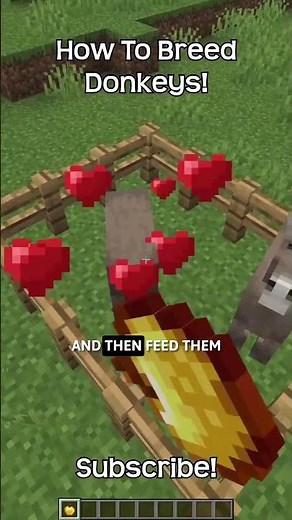 How To Breed Donkeys In Minecraft?!