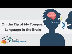 BrainHQ Academy: On the Tip of My Tongue - Language in the Brain