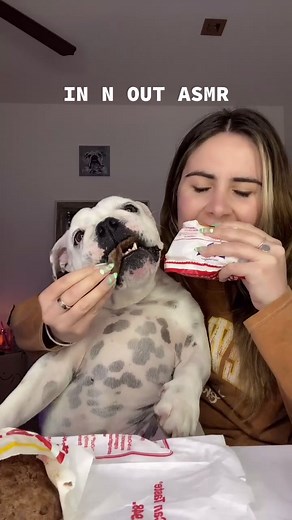 Satisfying IN N OUT ASMR Puppy Patty Eating Experience