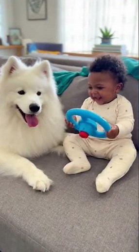 Hilarious Babies & Dogs Moments That Will Melt Your Heart! 🐶👶