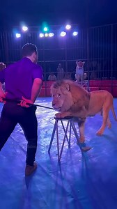 How are circus animals controlled | Knowledge Boy