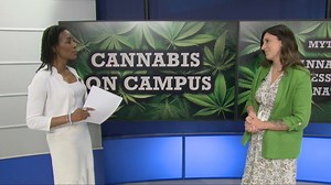 Cannabis safety tips for students