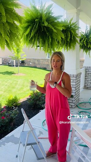 FERN UPDATE!! Once a month add 1 tbsp Epsom salt to a cup of water and put in center of your fern. Then water until the water runs through the center of pot. Remember to water every day!