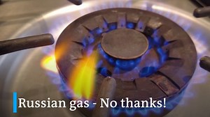 130K views · 4.9K reactions |  Germany consumes about 500 TWh of  Russian natural gas per year. How can that amount be reduced? The solution seems to be very close: Biogas!  via @DW Business | DW Environment | Facebook