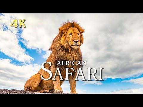 4K African Safari [Relaxing Music] The Best 4K Animals