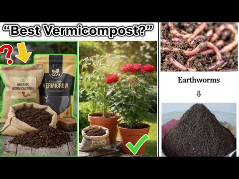 Best Vermicompost for Rose, Vegetable & Indoor Plants | Expert Recommendation | Real Test & Results