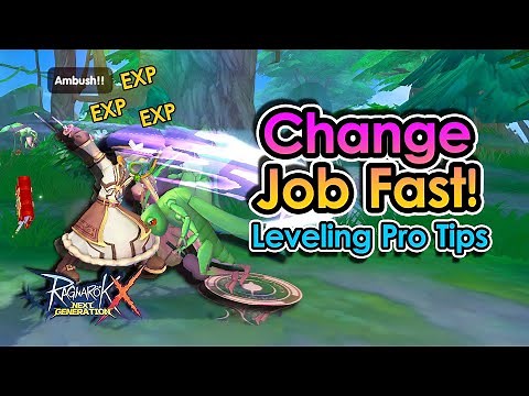 [ROX Global] Pro Tips and Guide for Leveling In ROX | King Spade