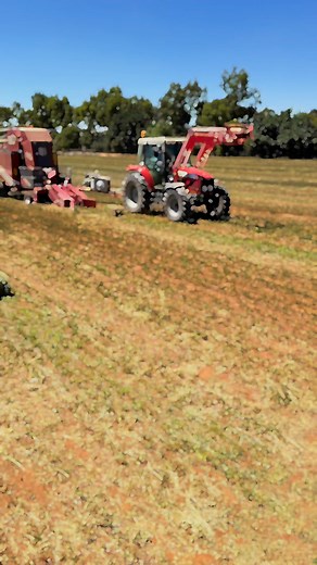 The team has been working overtime to stack away another paddock Lucerne earlier this week! ⏰ .Using the Bale Baron, tractor, and truck, we worked swiftly to get everything baled and safely stored away before the 4mm of rain last night 🌧️🚜.The Marcrest Bale Baron is a machine designed to automate the collection, bundling, and stacking of small square bales. It significantly reduces manual labor and increases efficiency in hay handling. Here’s how it works: .1. Picking Up Bales- The Bale Baron 