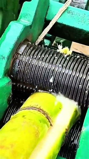 Traditional Manual Sugarcane Juice Extractor Machine