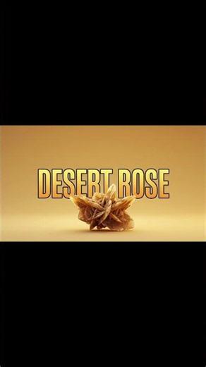 Sting – Desert Rose (Afrokanik Remix) 🔥 #shorts