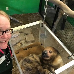 It's Spring Break and we're celebrating with Keeper Chats all day! FREE with admission | Abilene Zoo