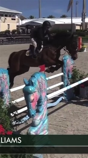 lady with one down today in the low jrs from rider error but so happy with us today 🥰❤️
