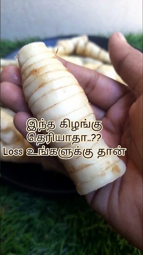 கூவக்கிழங்கு / Arrowroot #shorts #tamil #trending #babycare #babyfood ‪@Pragathisvoice‬