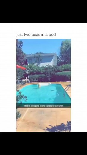 Labrador Retrievers Having Fun in the Pool