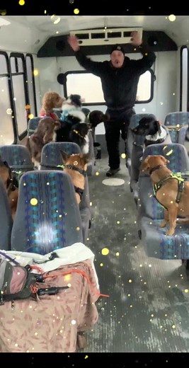 Celebrating our Animal Shelter Fundraiser Success!