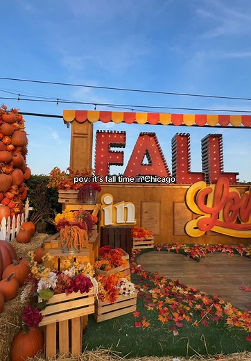 Arguably the best time of the year 🤭 Don’t miss out on the cutest date night, family night, even girls night spot! 📍Jack’s Pumpkin Pop Up #chicagofall #chicagodatenight #thingstodoinchicago #pumpkinpatch