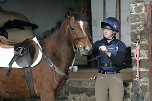 Solving bridling problems - Horse & Hound