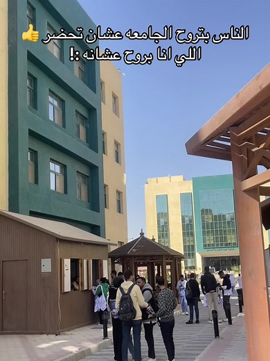 سفينكس: رحلة الحياة والمغامرات اليومية