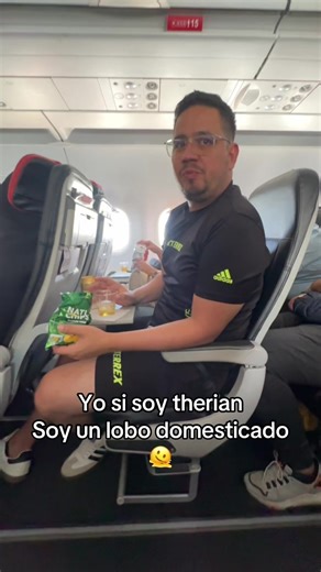 #therian #lobodomesticado🐺😍❤