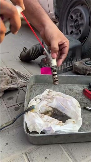 Camshaft Actuator cleaning #automobile #mechanic