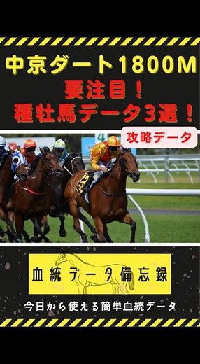 【競馬】中京ダート1800m要注目種牡馬データ3選！最新種牡馬データで徹底攻略！ #血統 #競馬予想 #shorts
