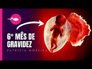 6 MONTHS OF PREGNANCY - Weeks 22, 23, 24, 25, 26