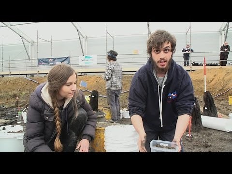 Must Farm Bronze Age settlement